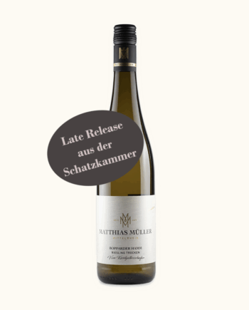 "Vom Kieselgallenschiefer" Riesling trocken 2021